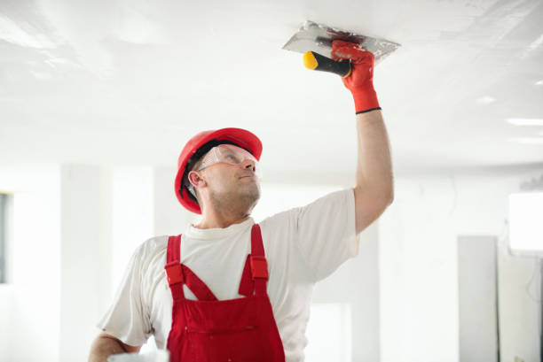 Best Real Estate Mold Inspection  in Rio Bravo, TX