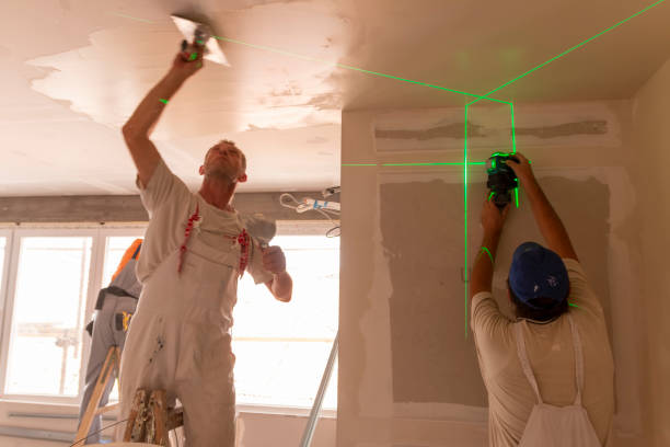 Best Crawl Space Mold Remediation  in Rio Bravo, TX