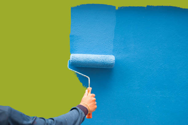 Best Mold Odor Removal Services  in Rio Bravo, TX